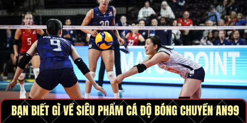 Bạn biết gì về siêu phẩm cá độ bóng chuyền AN99