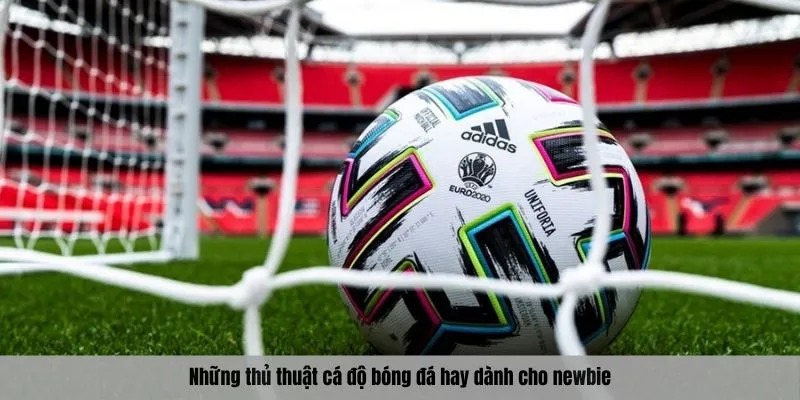 Những thủ thuật cá độ bóng đá hay dành cho newbie