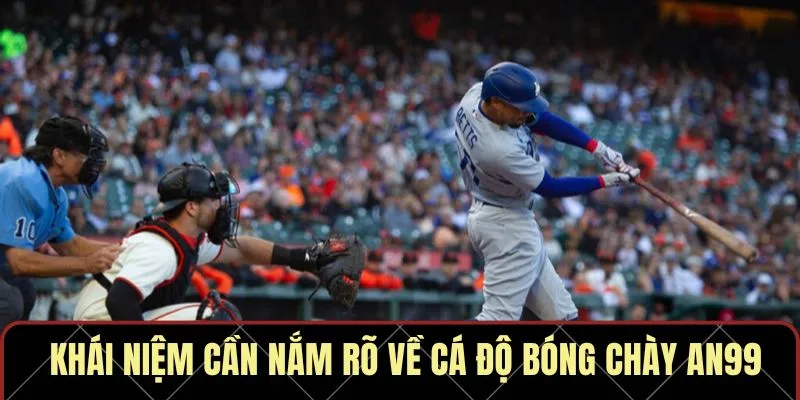 Khái niệm cần nắm rõ về cá độ bóng chày AN99