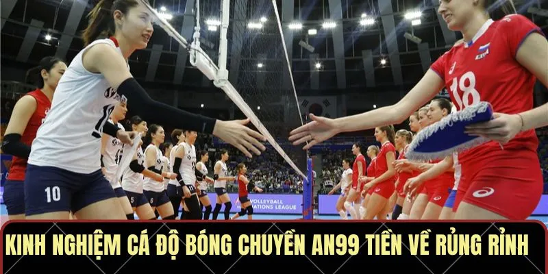 Kinh nghiệm cá độ bóng chuyền AN99 tiền về rủng rỉnh