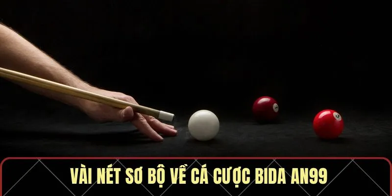Vài nét sơ bộ về cá cược bida AN99